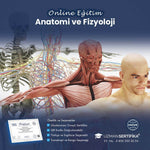 Anatomi ve Fizyoloji Eğitimi Sertifika Programı