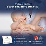 Bebek Bakımı ve Bakıcılığı Eğitimi Sertifika Programı