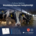 Büyükbaş Hayvan Yetiştiriciliği Eğitimi Sertifika Programı