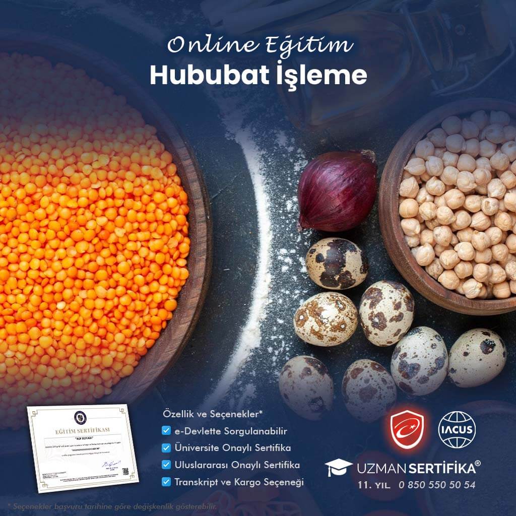 Hububat İşleme Eğitimi Sertifika Programı