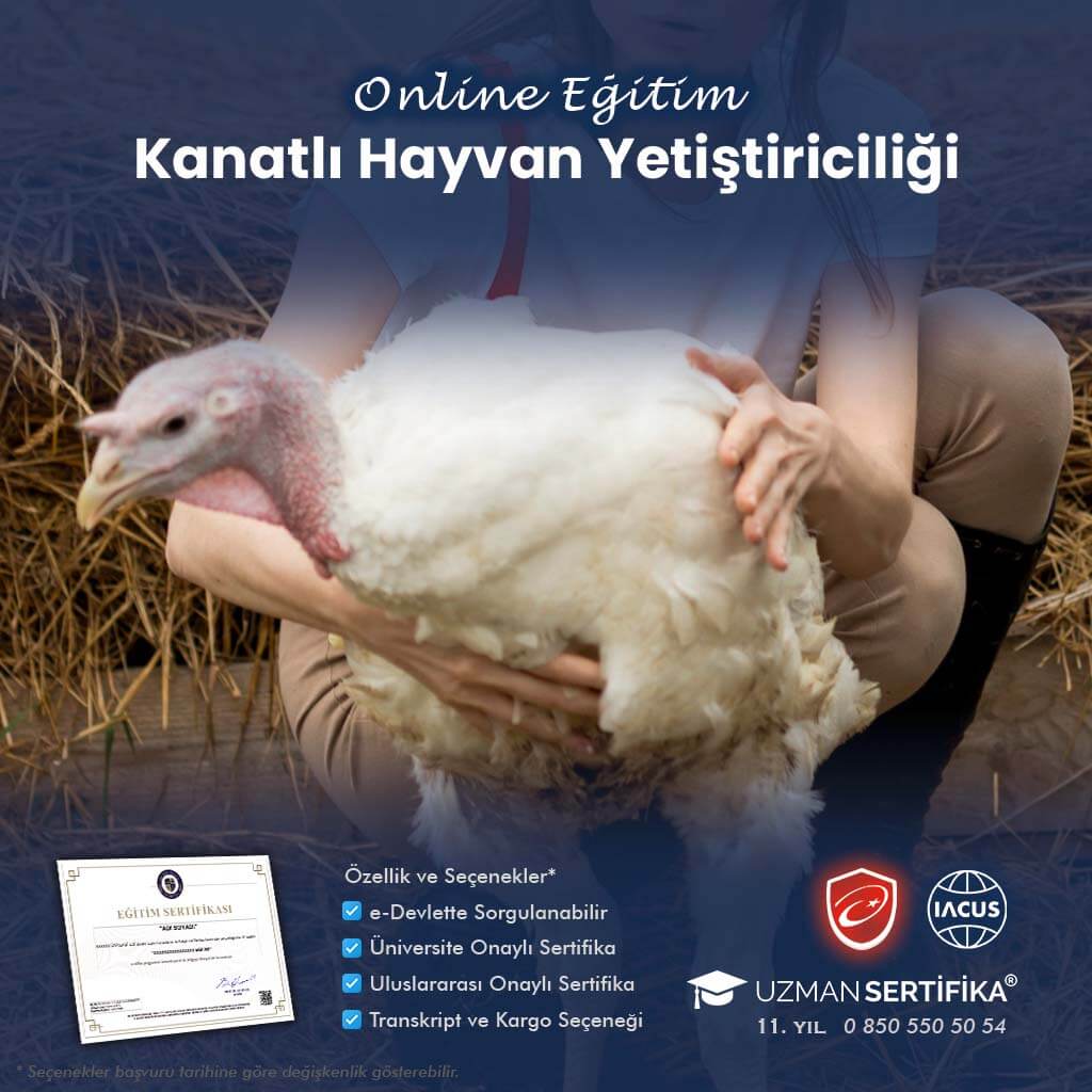 Kanatlı Hayvan Yetiştiriciliği Eğitimi Sertifika Programı