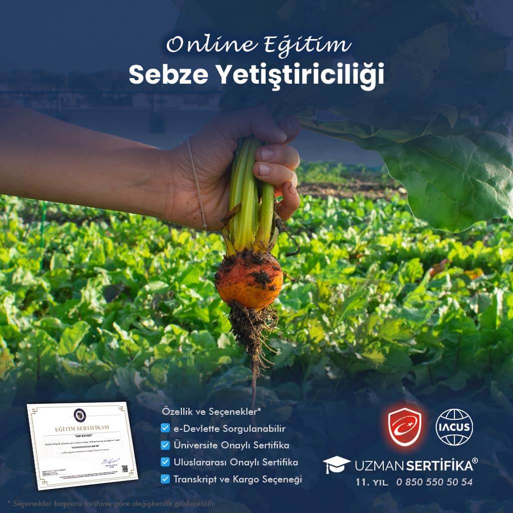 Sebze ve Meyve İşletme Elemanı Eğitimi Sertifika Programı