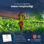 Sebze ve Meyve İşletme Elemanı Eğitimi Sertifika Programı