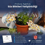 Süs Bitki Yetiştiriciliği Eğitimi Sertifika Programı