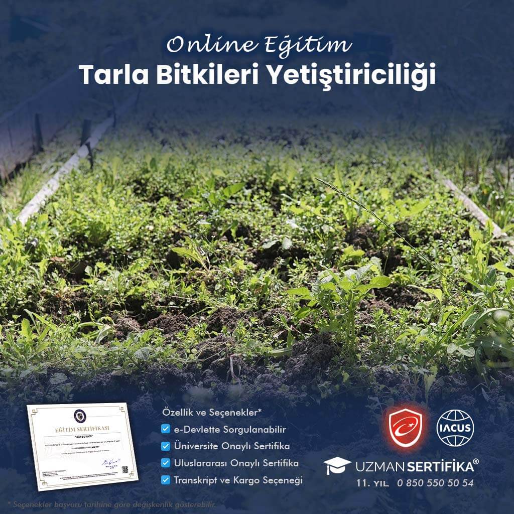 Tarla Bitkileri Yetiştiriciliği Eğitimi Sertifika Programı