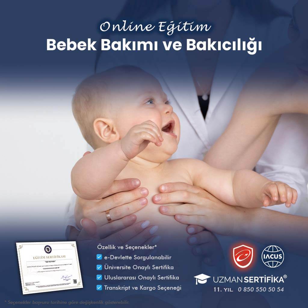 Bebek Bakımı ve Bakıcılığı Eğitimi Sertifika Programı