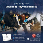 Büyükbaş Hayvan Besiciliği Eğitimi Sertifika Programı