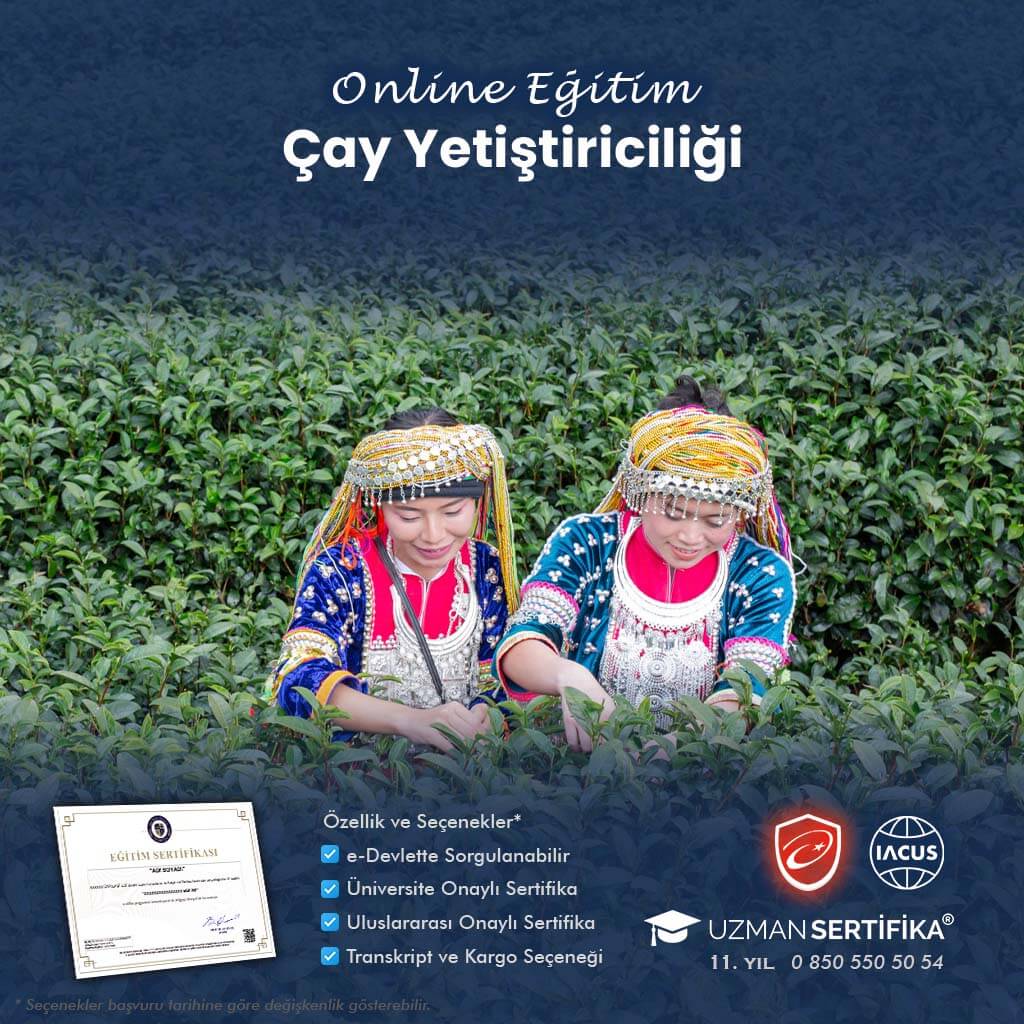 Çay Yetiştiriciliği Eğitimi Sertifika Programı