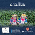 Çay Yetiştiriciliği Eğitimi Sertifika Programı