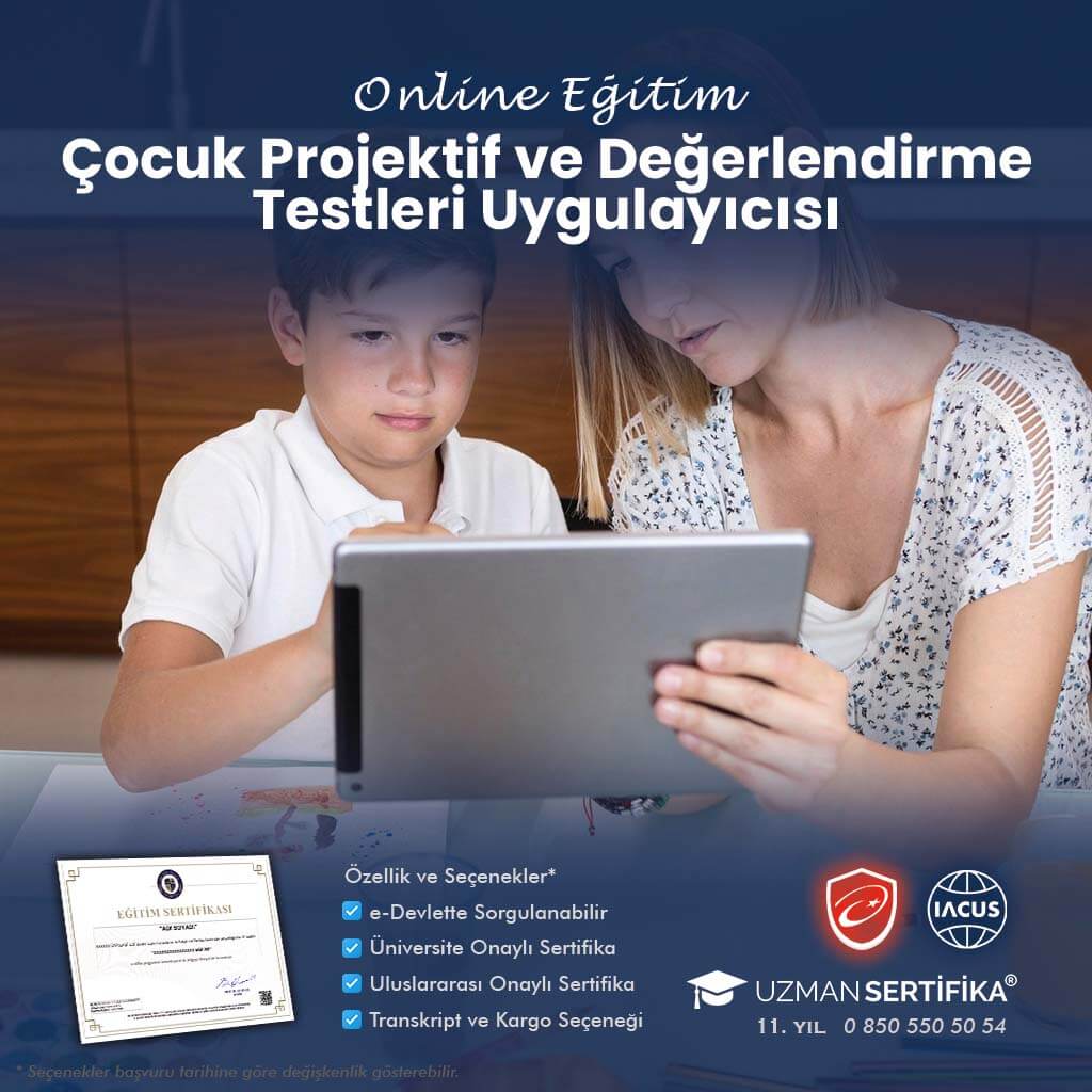 Çocuk Projektif ve Değerlendirme Testleri Uygulayıcısı Eğitimi Sertifika Programı