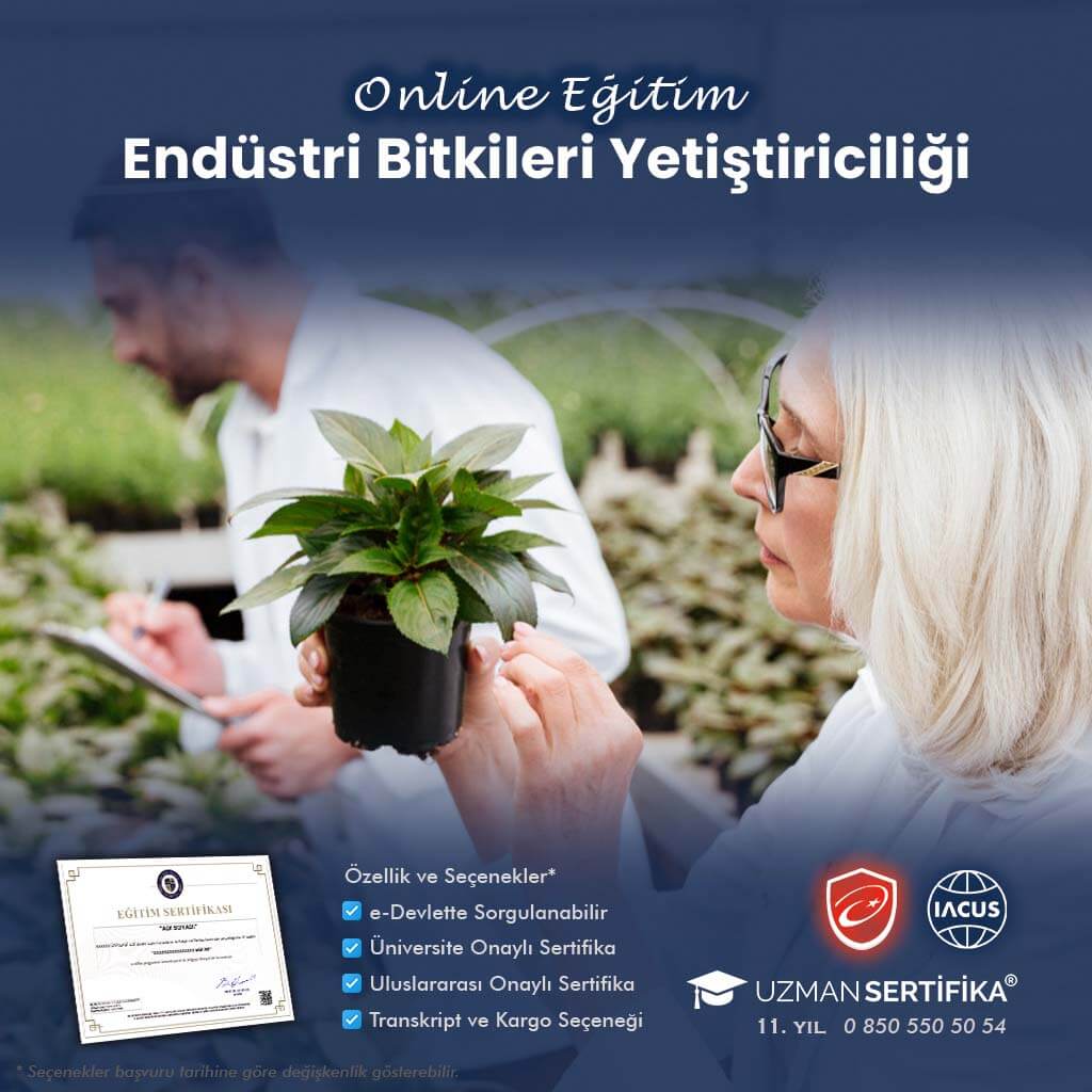 Yem Bitkileri Yetiştiriciliği Eğitimi Sertifika Programı