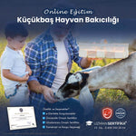 Küçükbaş Hayvan Yetiştiriciliği Eğitimi Sertifika Programı