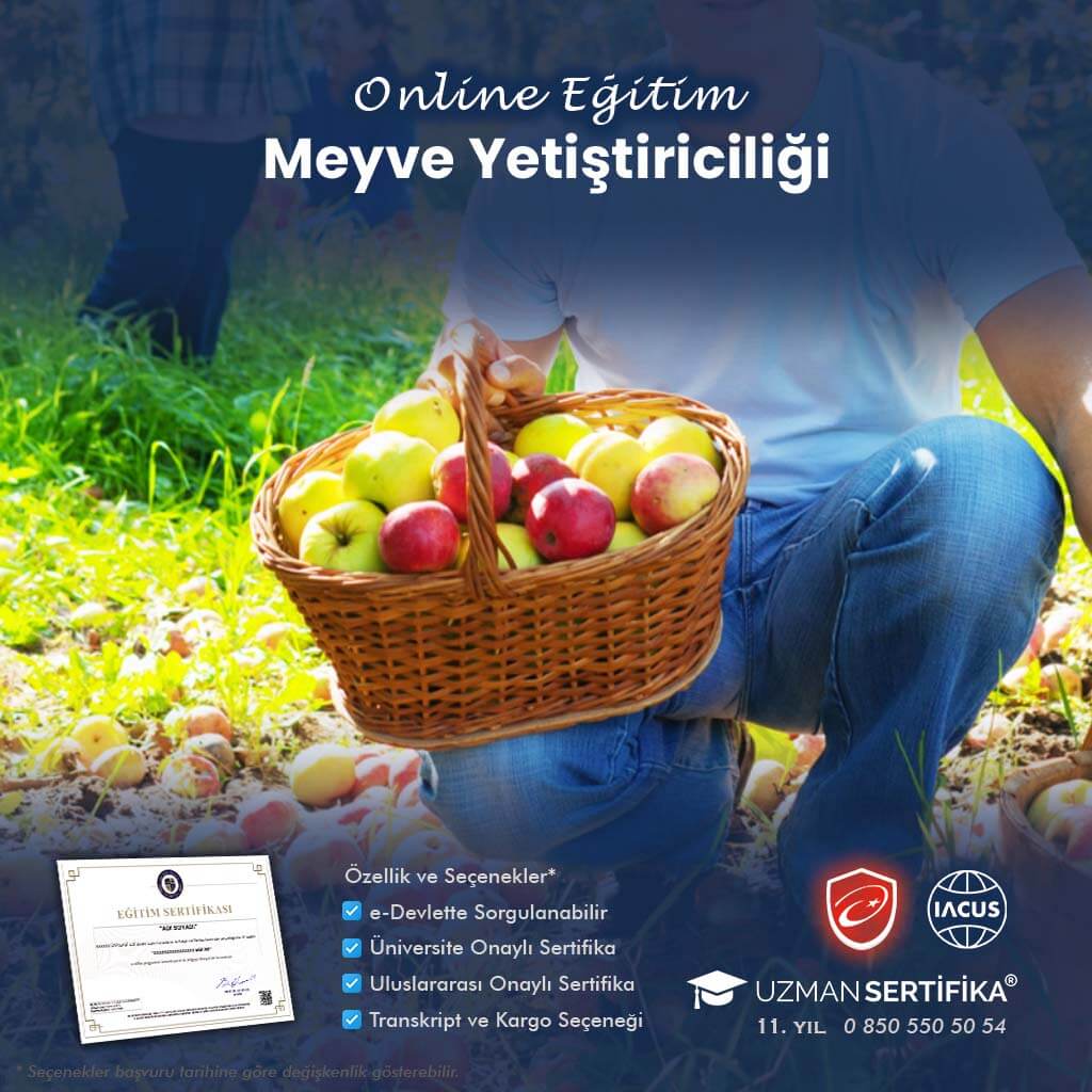 Meyve Yetiştiriciliği Eğitimi Sertifika Programı