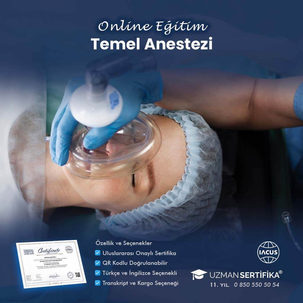 Temel Anestezi Eğitimi Sertifika Programı