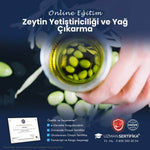 Zeytin Yetiştiriciliği ve Yağ Çıkarma Eğitimi Sertifika Programı